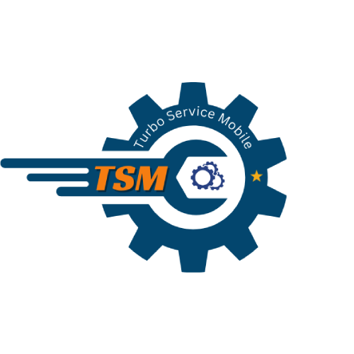 TSM TOOL Official Logo